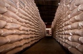 Conab enviará nove mil toneladas de milho para municípios da Sudene