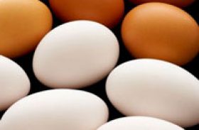 Demanda de ovos se enfraquece, mas oferta restrita sustenta cotação