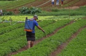 Governo inicia processo para regulamentar legislação estadual de agrotóxicos