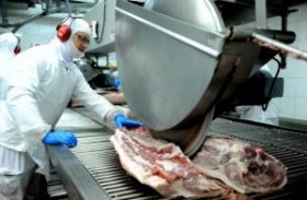 Exportação de carne suína cresce 20% em abril, informa ABPA
