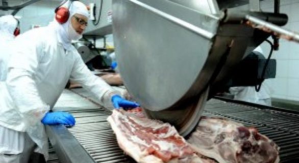 Exportação de carne suína cresce 20% em abril, informa ABPA