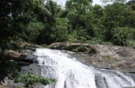 Alagoas é destaque em programa ambiental da Unesco