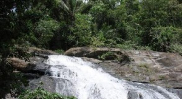 Alagoas é destaque em programa ambiental da Unesco