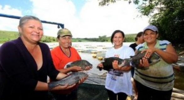 Piscicultura é alternativa para mulheres no Litoral Sul de Alagoas