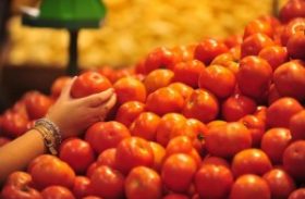 Preço do tomate sobe quase 50% na última semana