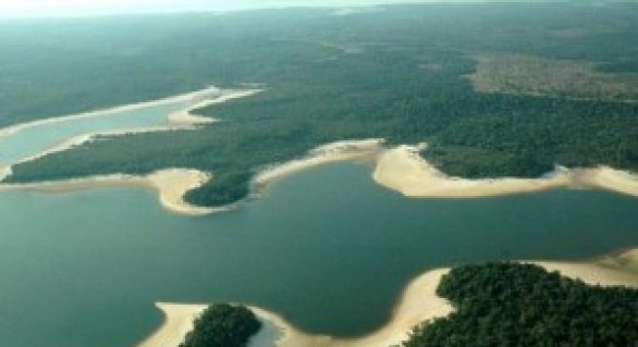 Pesquisa revela danos do fogo e exploração madeireira sobre a Amazônia