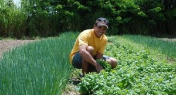 BNB libera cerca de R$ 800 mil para agricultores familiares da região de Arapiraca