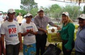 Programa de Avicultura Familiar entrega aves em Traipu