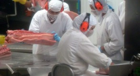Carne suína está mais competitiva em junho, diz Cepea