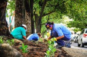 Meio Ambiente promove ações de arborização em Maceió