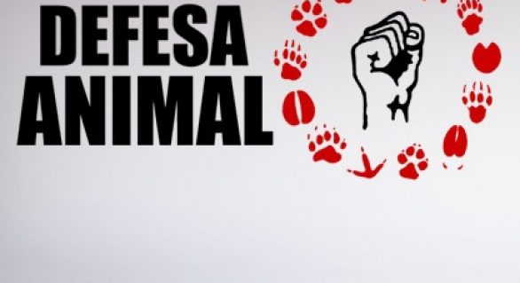 Maceió recebe marcha nacional em defesa dos animais