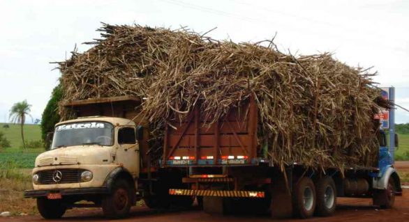 Usinas do Centro-Sul processam 2,86% menos cana-de-açúcar do que em 2013