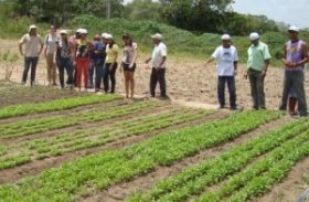 Agricultores recebem capacitação em barragem subterrânea em Alagoas