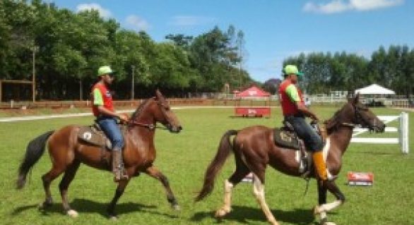 Arapiraca sedia evento regional de criadores de cavalos
