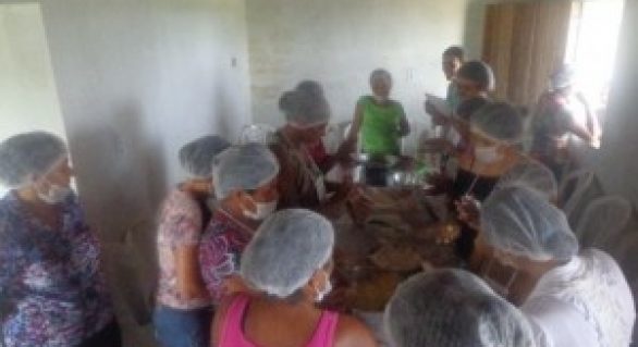 Curso beneficia mulheres de produtores de mandioca no Agreste