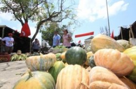 15ª Feira da Reforma Agrária será aberta nesta quarta-feira em Maceió