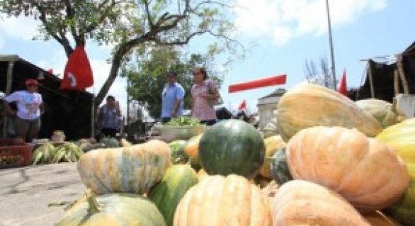 Feira da Reforma Agrária fortalece a agricultura familiar alagoana