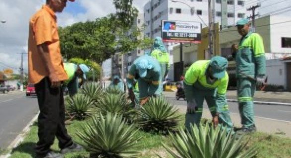 Equipe da Slum realiza manutenção em praças e jardins