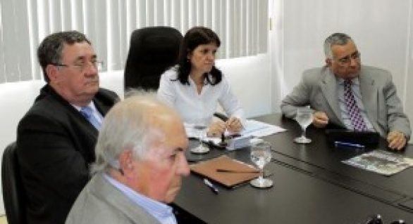 Conselho debate reajuste tarifário da energia elétrica em Alagoas