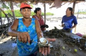 Comunidade quer reativar cultivo de ostras e produção de peixe