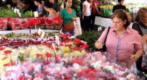 Sucesso do 7º Festival das Flores de Holambra cria expectativas para 2015