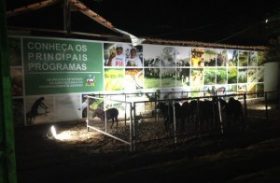 Programa Mais Ovinos é destaque na 64ª edição da Expoagro em Alagoas