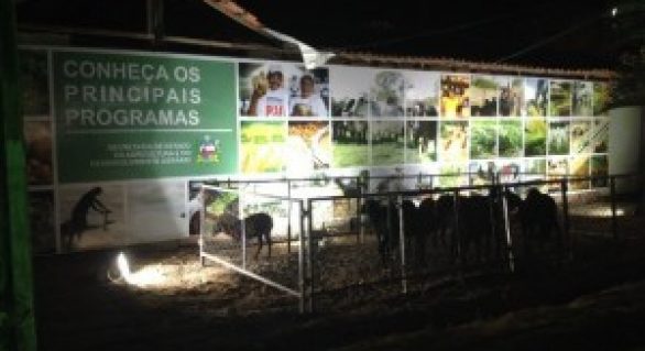 Programa Mais Ovinos é destaque na 64ª edição da Expoagro em Alagoas