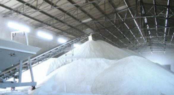 Produção de açúcar já ultrapassa 200 mil toneladas