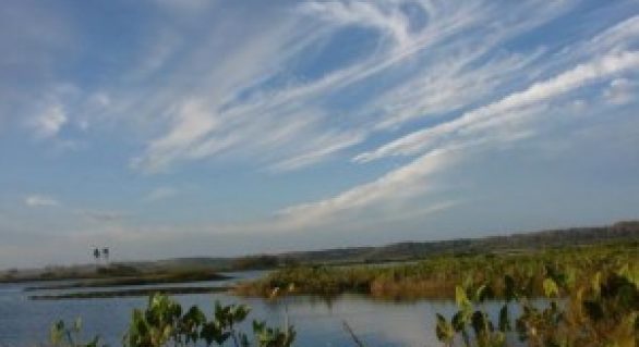 Estado cria Estação Ecológica na região do sertão alagoano