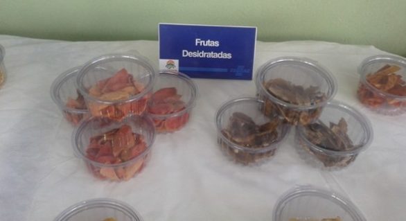 1ª fábrica de frutas desidratadas no País já funciona em Alagoas