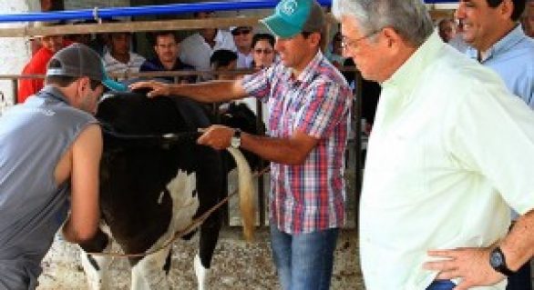 Governador assiste à fertilização artificial bovina no município de Craíbas