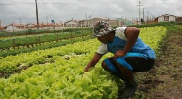 Plano Safra em Alagoas prevê mais recursos para agricultura familiar