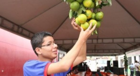 Alunos participam de beneficiamento de frutas em Santana do Mundaú