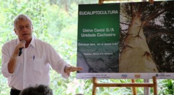 Alagoas será o segundo Estado com maior produção de eucalipto do Brasil
