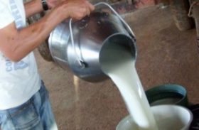 Custo de produção da pecuária leiteira tem segunda queda no ano