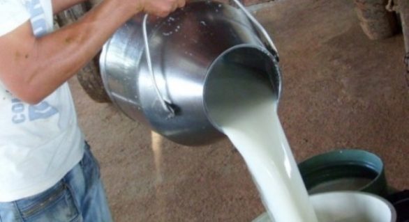 Decreto desonera ICMS para indústria leiteira e valoriza mercado interno