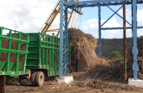 Safra 14/15 já ultrapassa 16 toneladas de cana moída em Alagoas