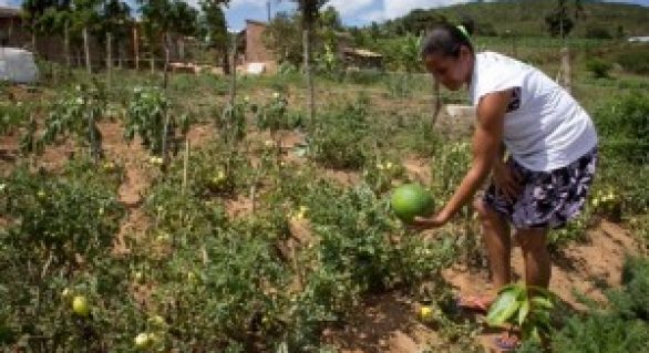 Agricultura mobiliza equipes de apoio à realização do Cadastro Ambiental Rural