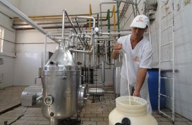 Usina de beneficiamento pode salvar cadeia produtiva do leite em Alagoas