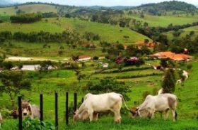 Entidades firmam compromisso para acelerar Cadastro Ambiental Rural