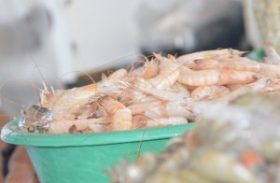 Sesau alerta consumidores para os cuidados ao comprar pescados