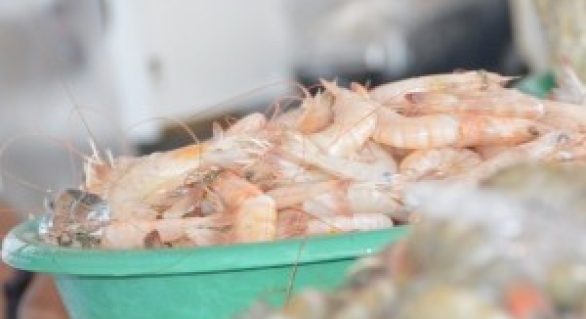 Sesau alerta consumidores para os cuidados ao comprar pescados
