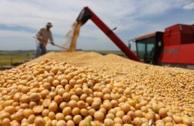 Safra de grãos 2014/2015 atinge 208,8 milhões de toneladas