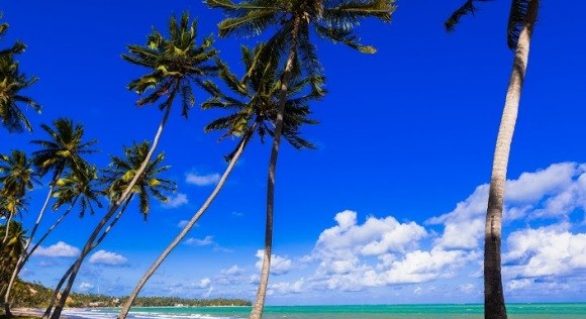 Litoral Norte de Alagoas é destaque por suas praias e tranquilidade