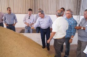 Governo recebe demanda dos produtores de arroz do Baixo São Francisco
