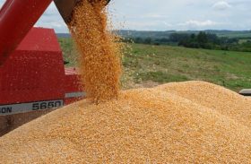 Produção agropecuária chegará a R$ 522,52 bilhões até dezembro