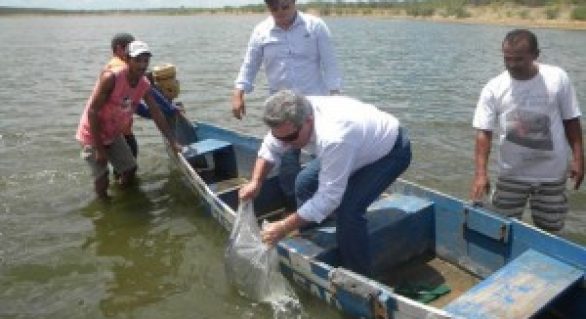 Estado garante povoamento de peixes em Jaramataia, no Sertão