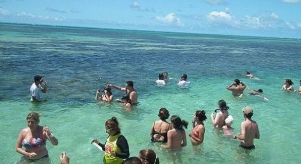 Cresce o número de trechos bons para banho nas regiões Norte e Sul de Alagoas