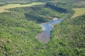 Governo vai incentivar reflorestamento de áreas degradadas no Estado