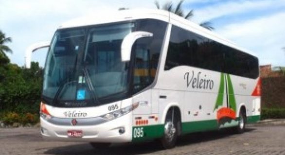 Empresa autorizada pela Arsal apresenta frota de ônibus para atender Rio Largo